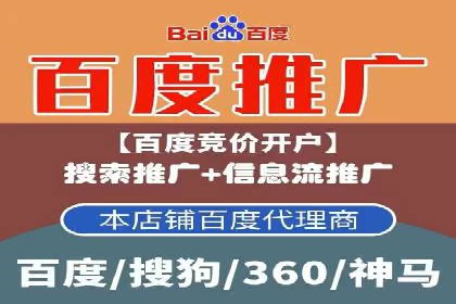 SEM搜索引擎优化策略解析与应用案例